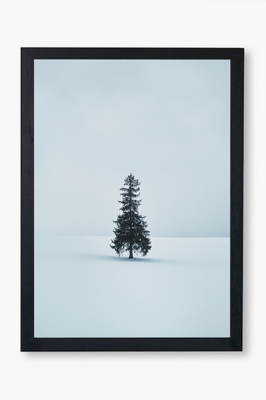 Solitary Pine - Wall Frame