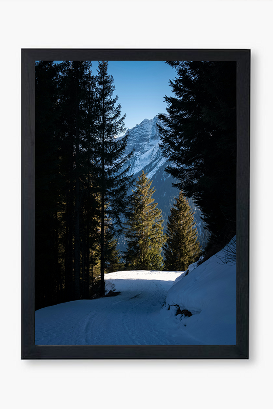 Winter Pathway - Wall Frame