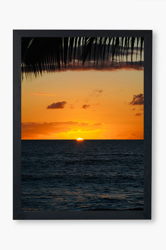 Tropical Sunset - Wall Frame