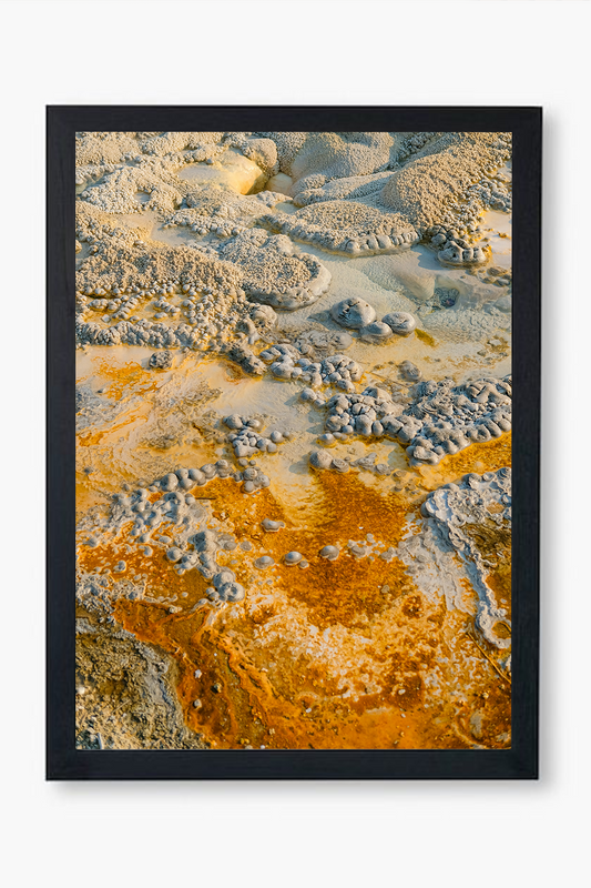 Nature's Palette - Wall Frame