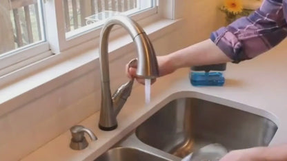Soap Pump with Sponge Holder